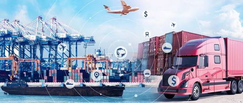 把握數(shù)字經(jīng)濟(jì)時代脈搏 貨運物流業(yè)迎來新篇章